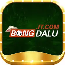 Bongdalu icon